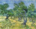 Olivenhain Vincent van Gogh